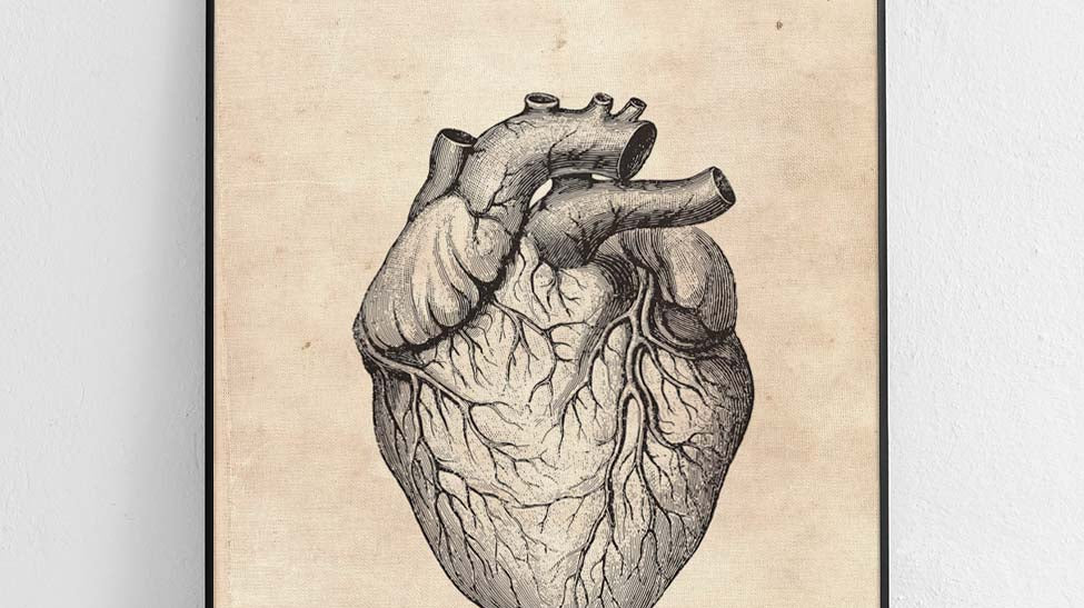 Plakat anatomiczny serce — prezent dla lekarza od Poster Polytechnic