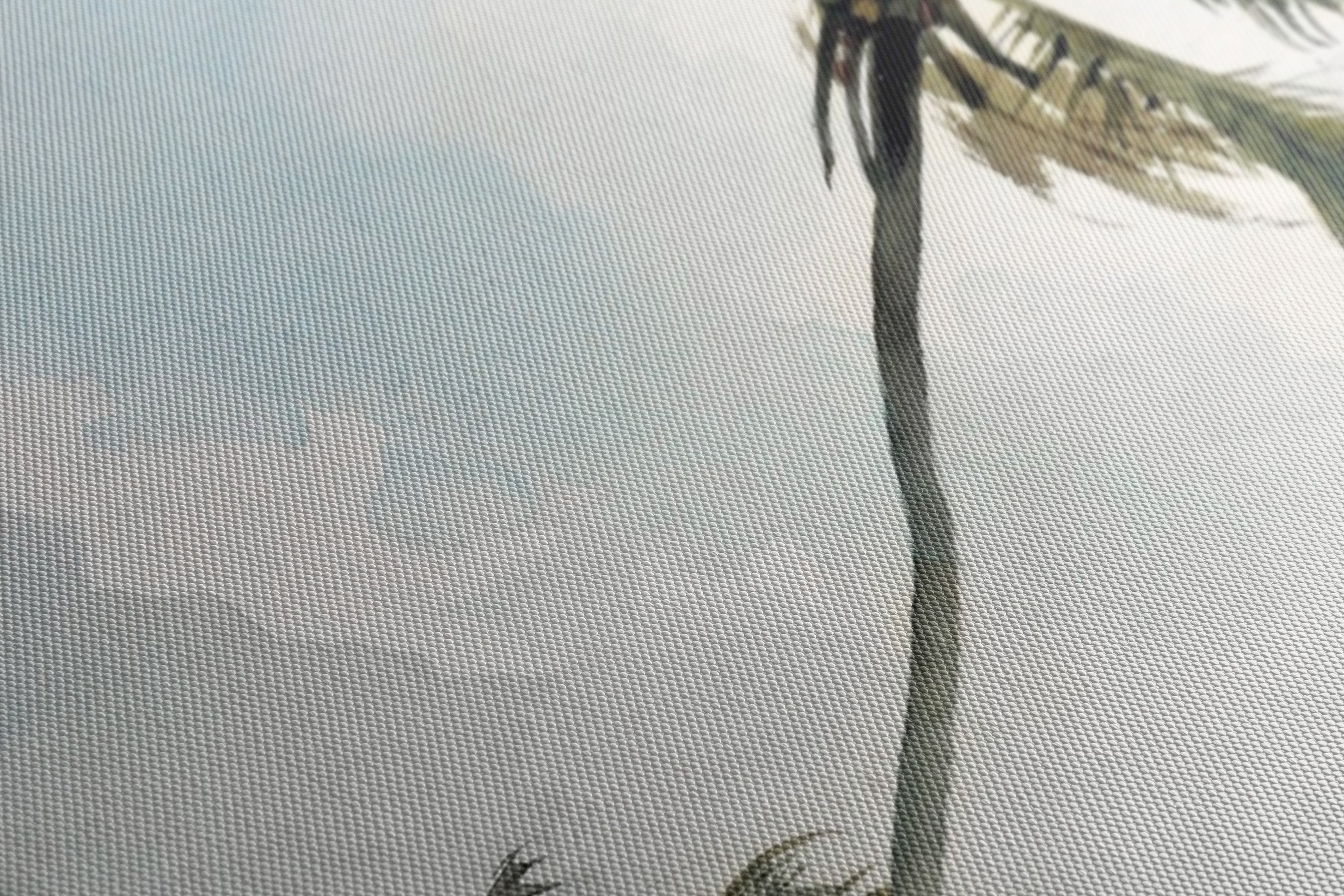 Obraz na płótnie "Drzewo palmowe. Nassau" - Winslow Homer - Drzewo palmowe Nassau_Canvas szczegol.jpg