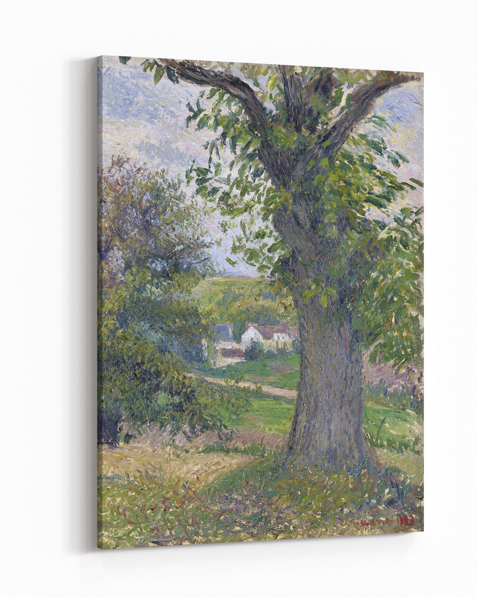 Canvas Print “Walnut Tree in Osny” by Camille Pissarro - Canvas print - 1