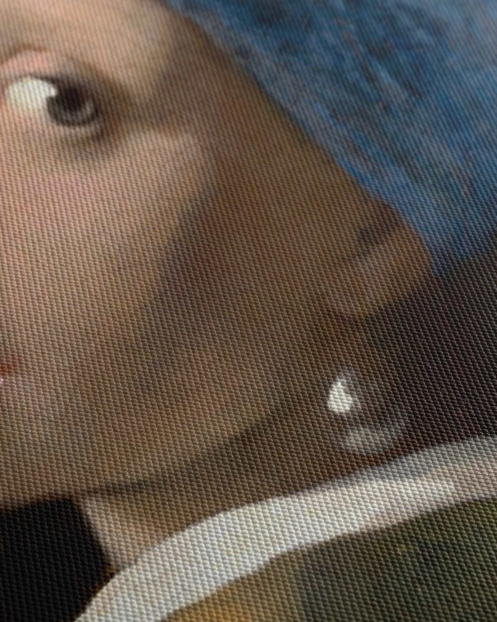 Girl with a Pearl Earring - canvas print - 4