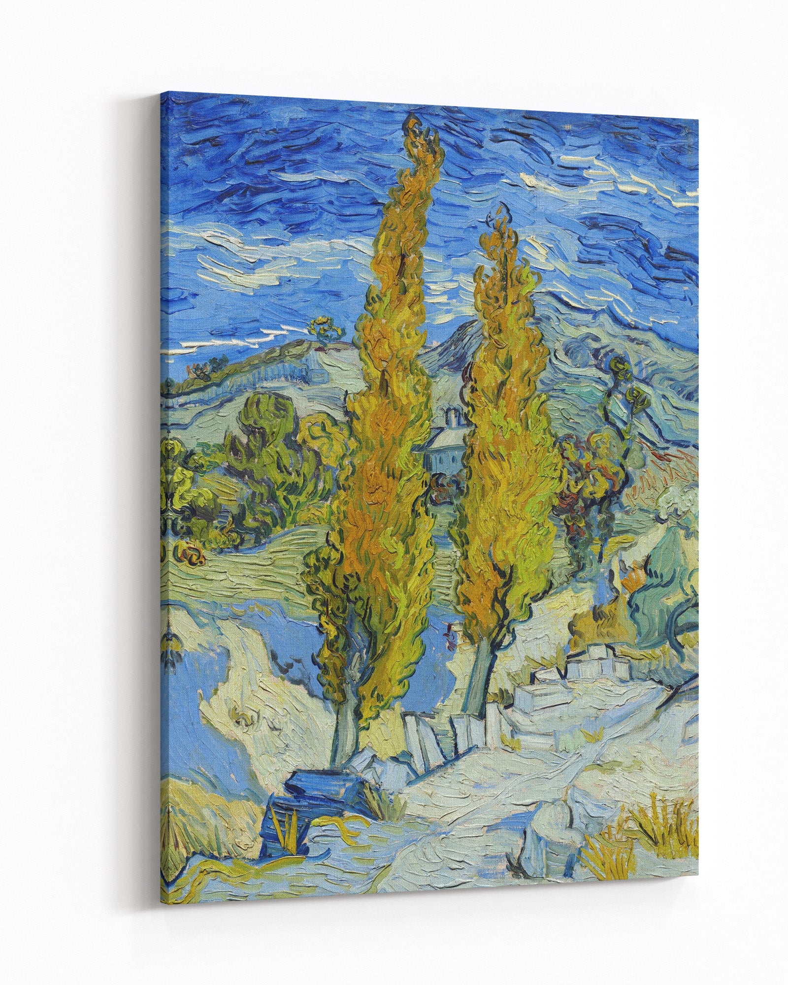 Obraz na płótnie "Topole w Saint Remy" – Vincent van Gogh - Topole w Saint Remy_Obraz na plotnie.jpg