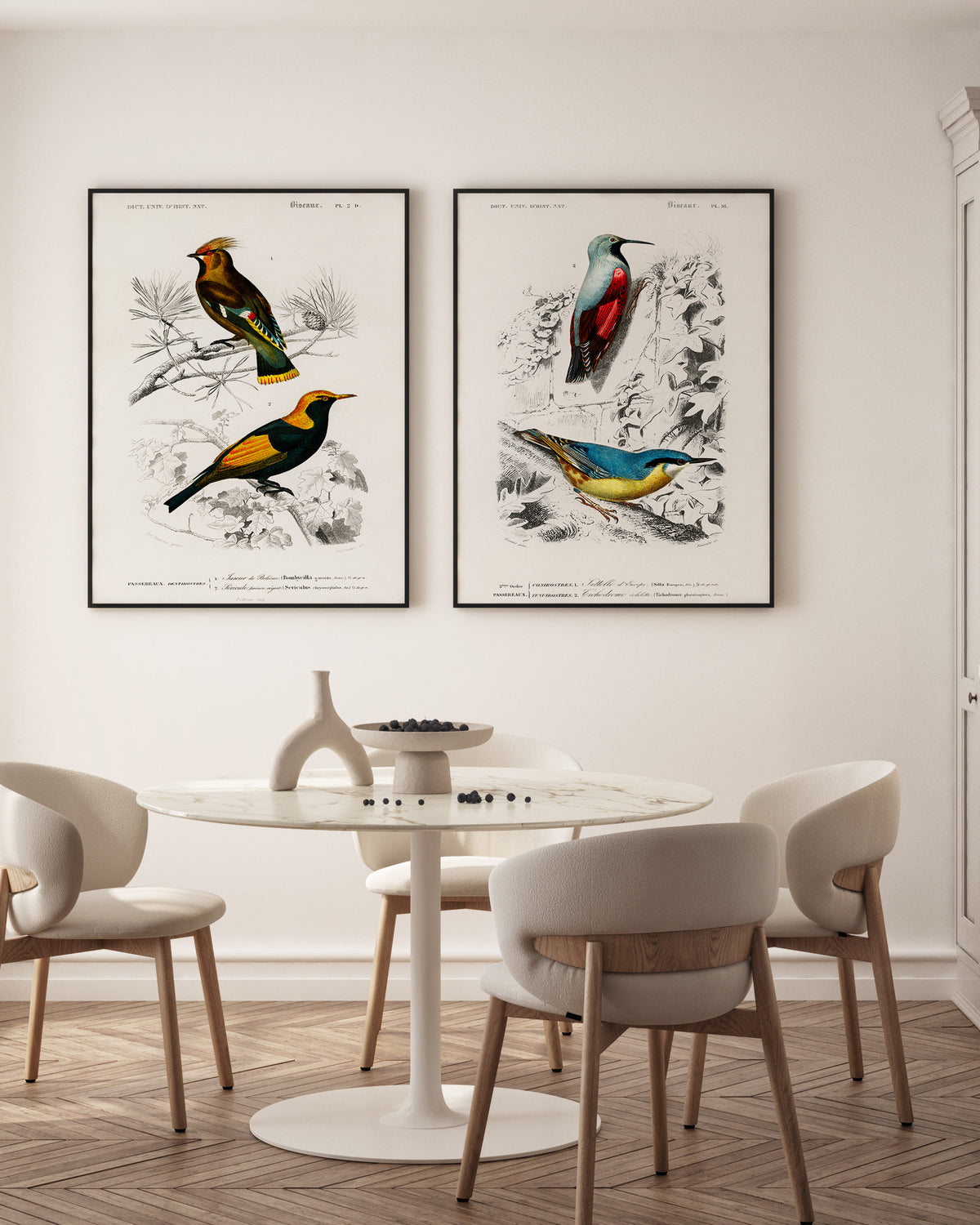 Set d’affiches Jaseur boréal et Chardonneret élégant, set d’affiches