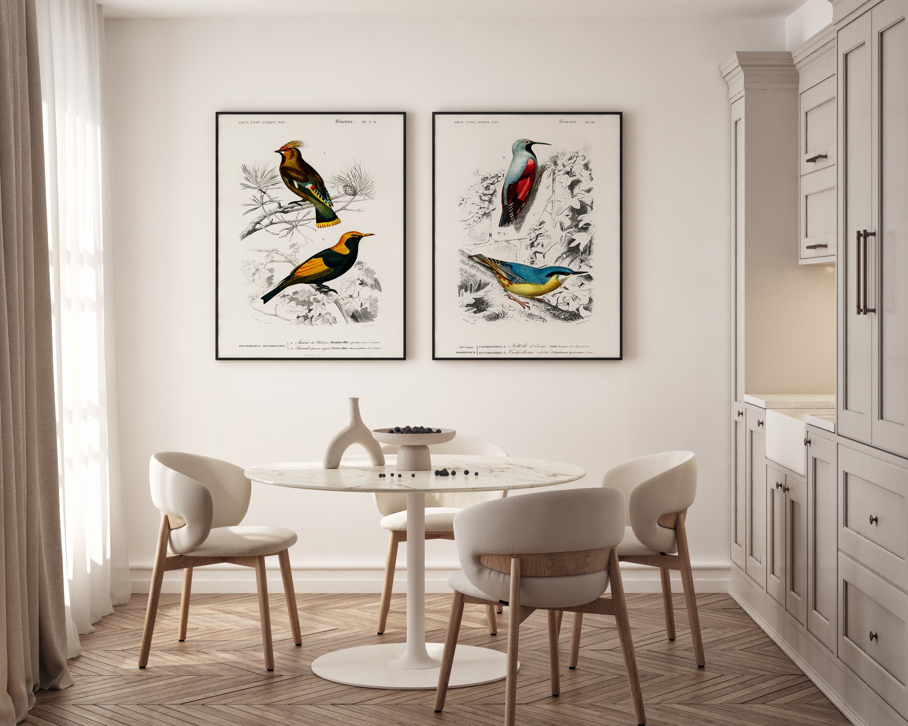 Zestaw plakatów Jemiołuszka i Błyszczek złotogłowy