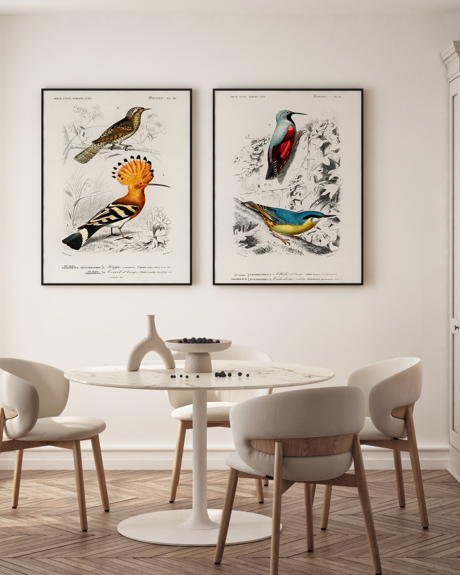 Set d’affiches Torcol fourmilier et Huppe fasciée - set d’affiches