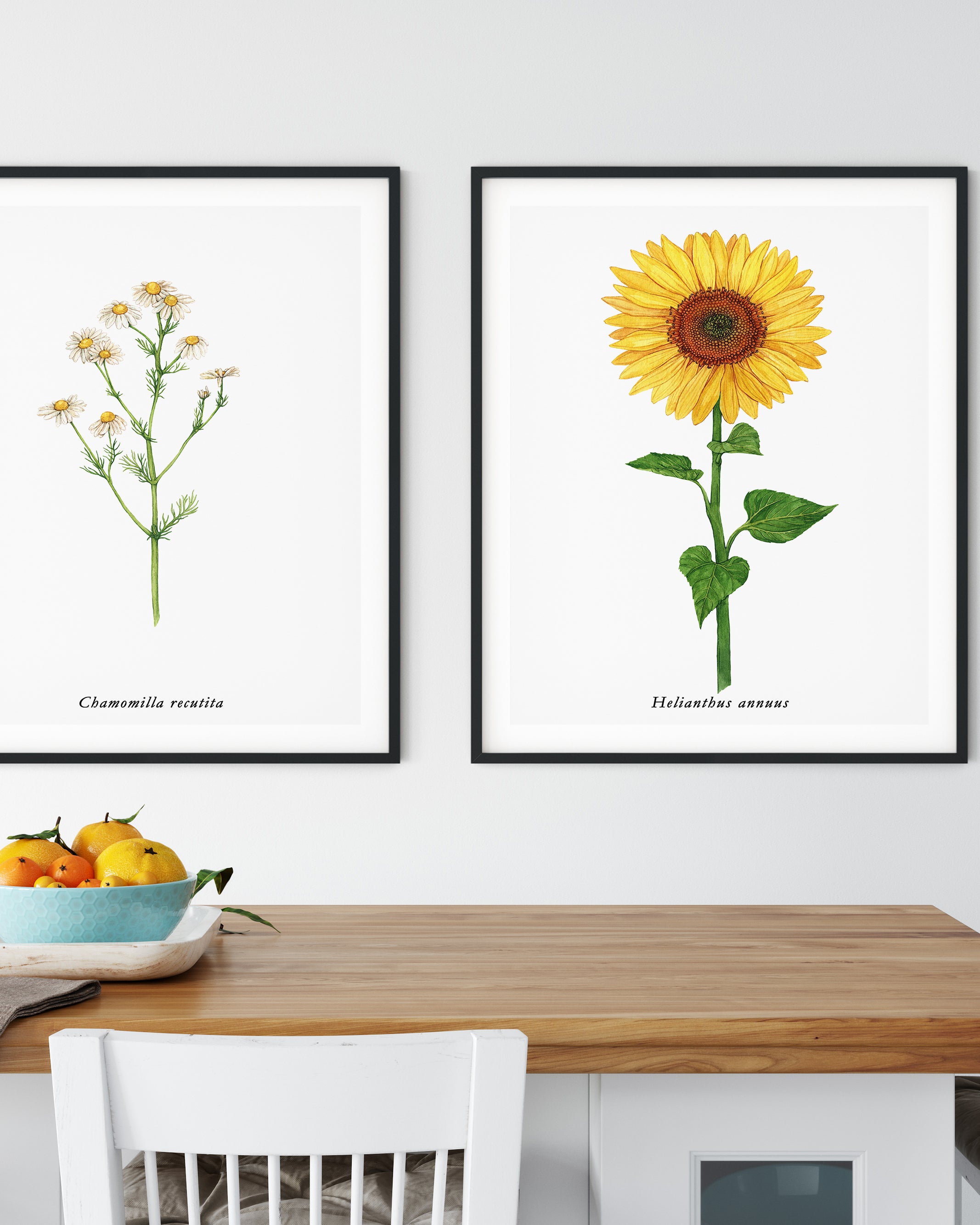Ensemble de posters Tournesol et camomille - ensemble de posters