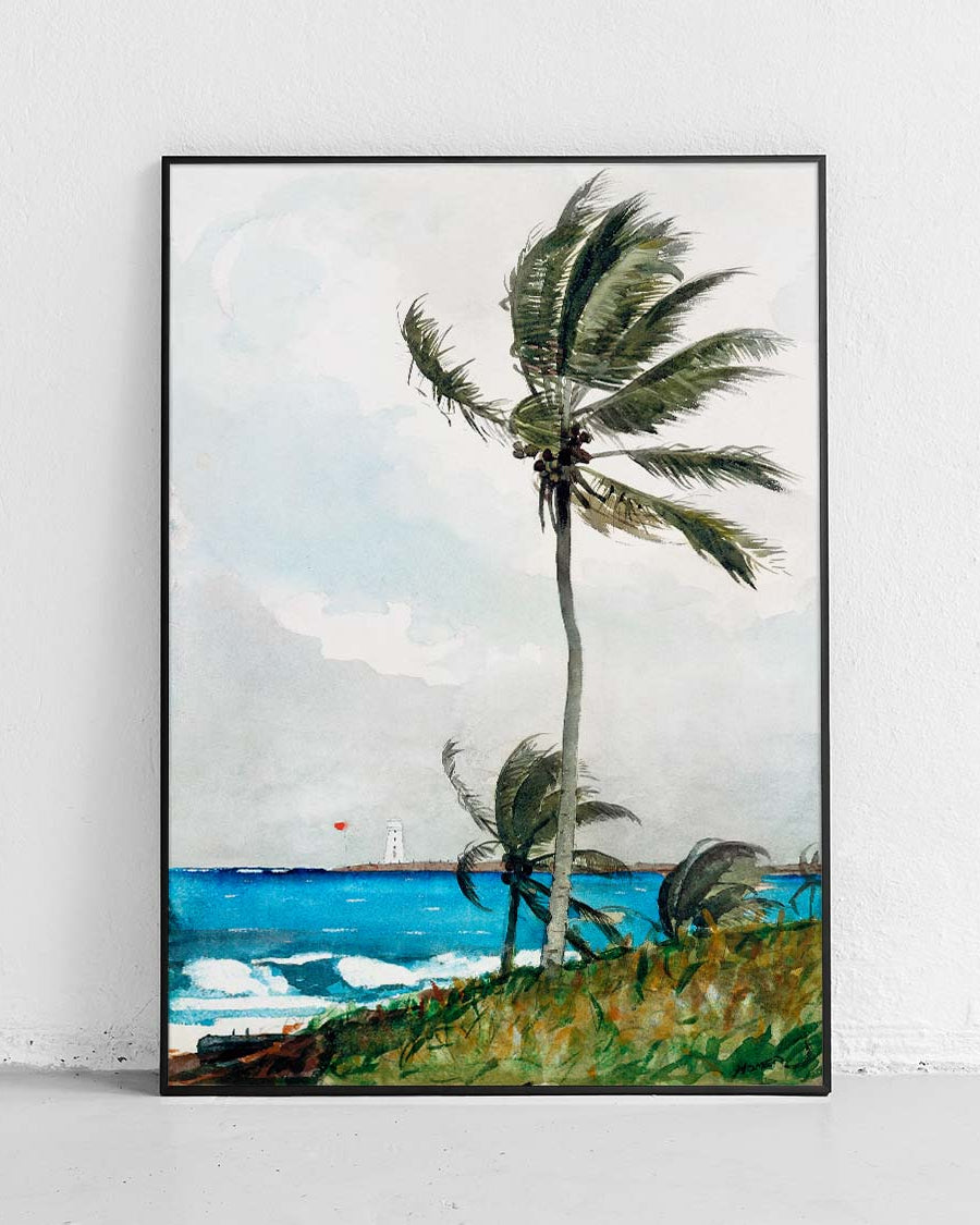 Poster "Palm Tree, Nassau" - art work - 1