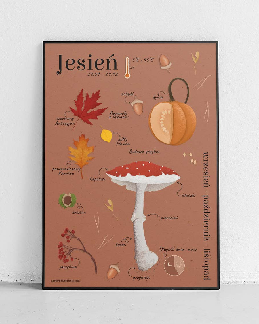Automne - affiche pour enfants, affiche éducative de Kasi Nowakowska - 1