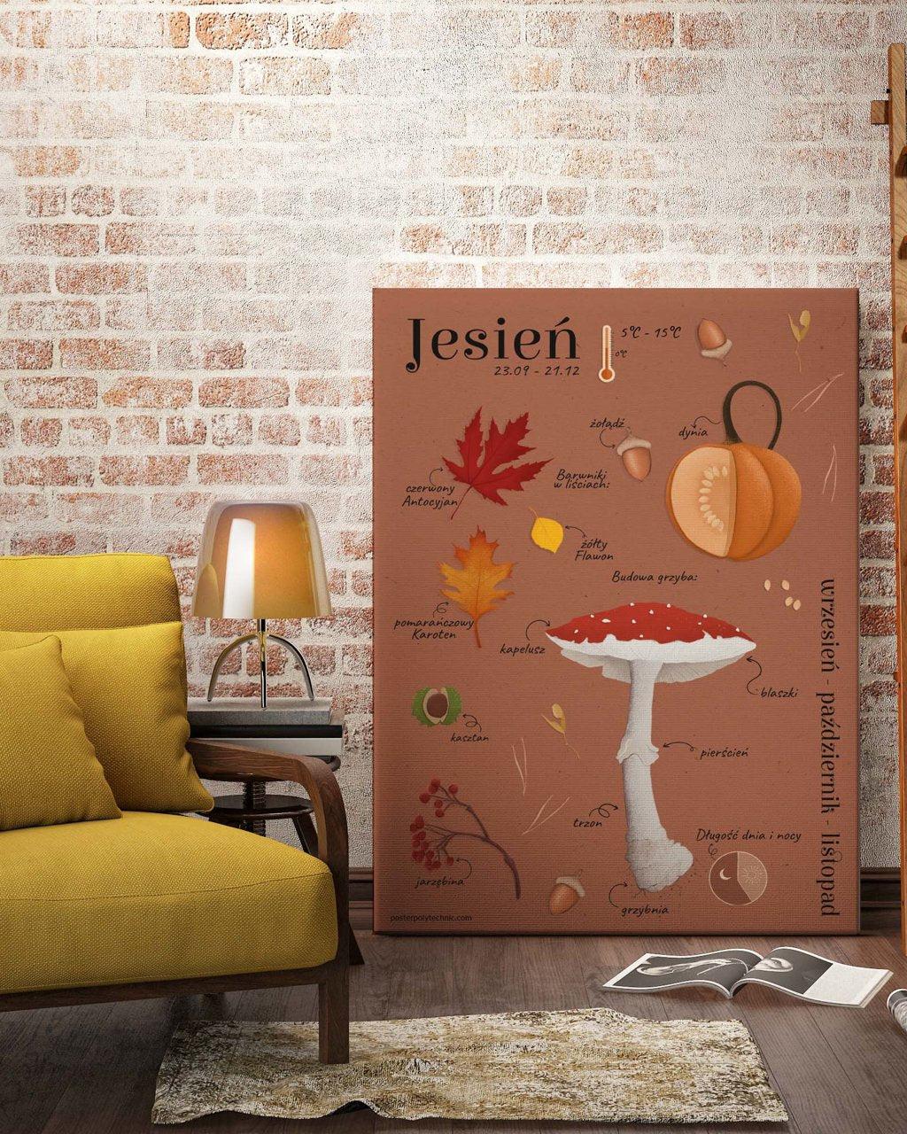 Automne - affiche pour enfants, affiche éducative de Kasi Nowakowska - 2