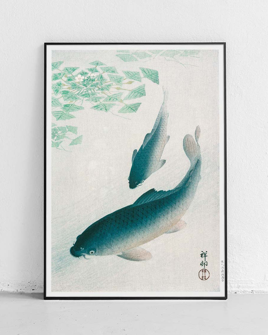 Carp or Koi - Japan poster, technical poster