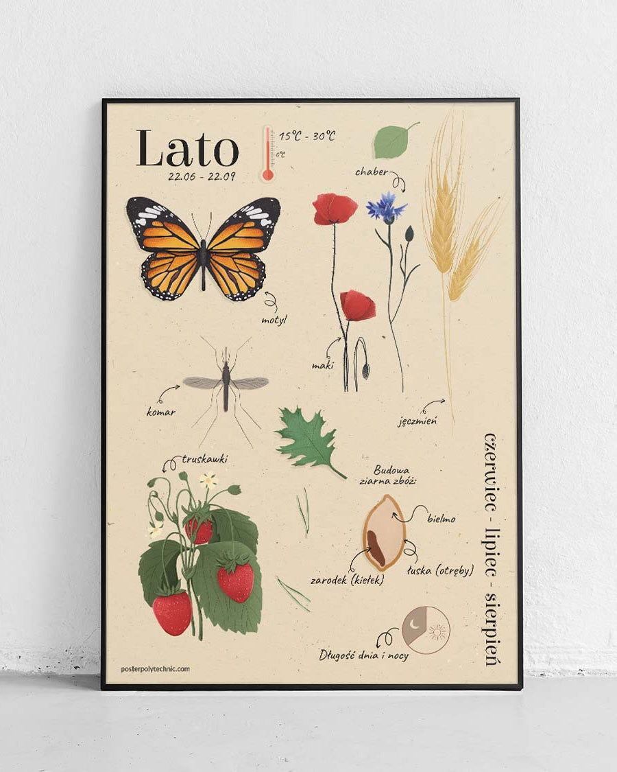 Été - affiche éducative pour enfants - 1