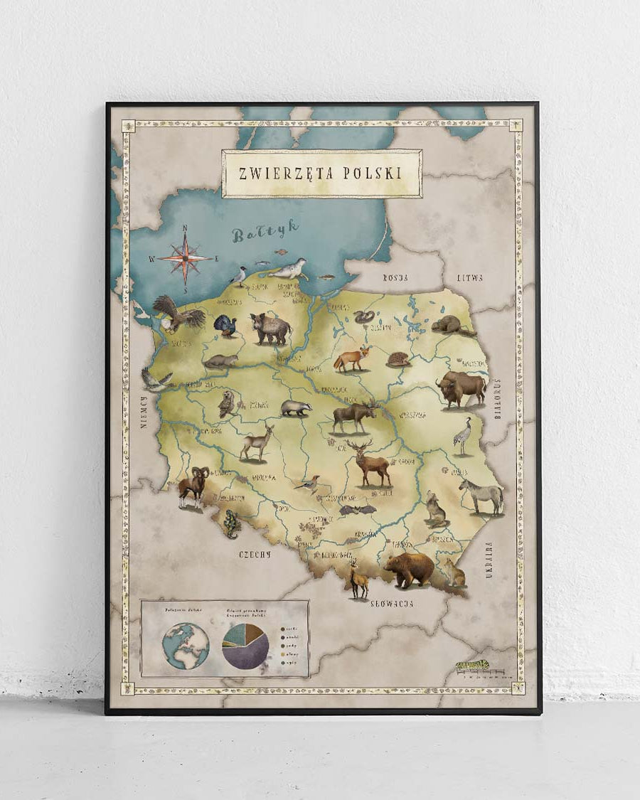 Carte de la Pologne pour enfants - poster éducatif pour les plus grands - 1