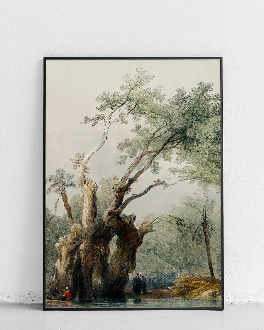 Affiche Arbre sacré de Metereah, Égypte, motif de l’Égypte ancienne - 1