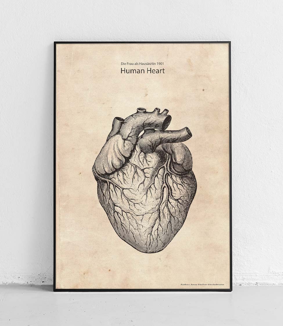 Plakat anatomiczny serce — prezent dla lekarza od Poster Polytechnic