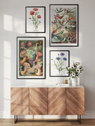 Zestaw plakatów Botanika #1 – zestaw plakatów botaniki