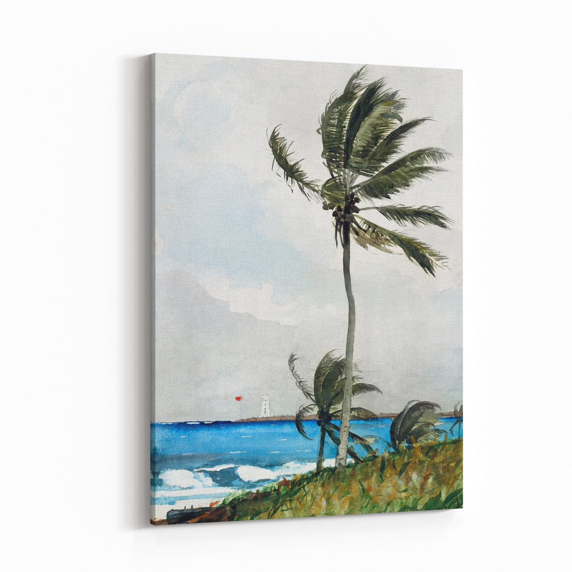 Obraz na płótnie "Drzewo palmowe. Nassau" - Winslow Homer - Drzewo palmowe Nassau_Obraz na plotnie.jpg