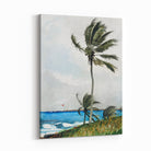 Obraz na płótnie "Drzewo palmowe. Nassau" - Winslow Homer - Drzewo palmowe Nassau_Obraz na plotnie.jpg