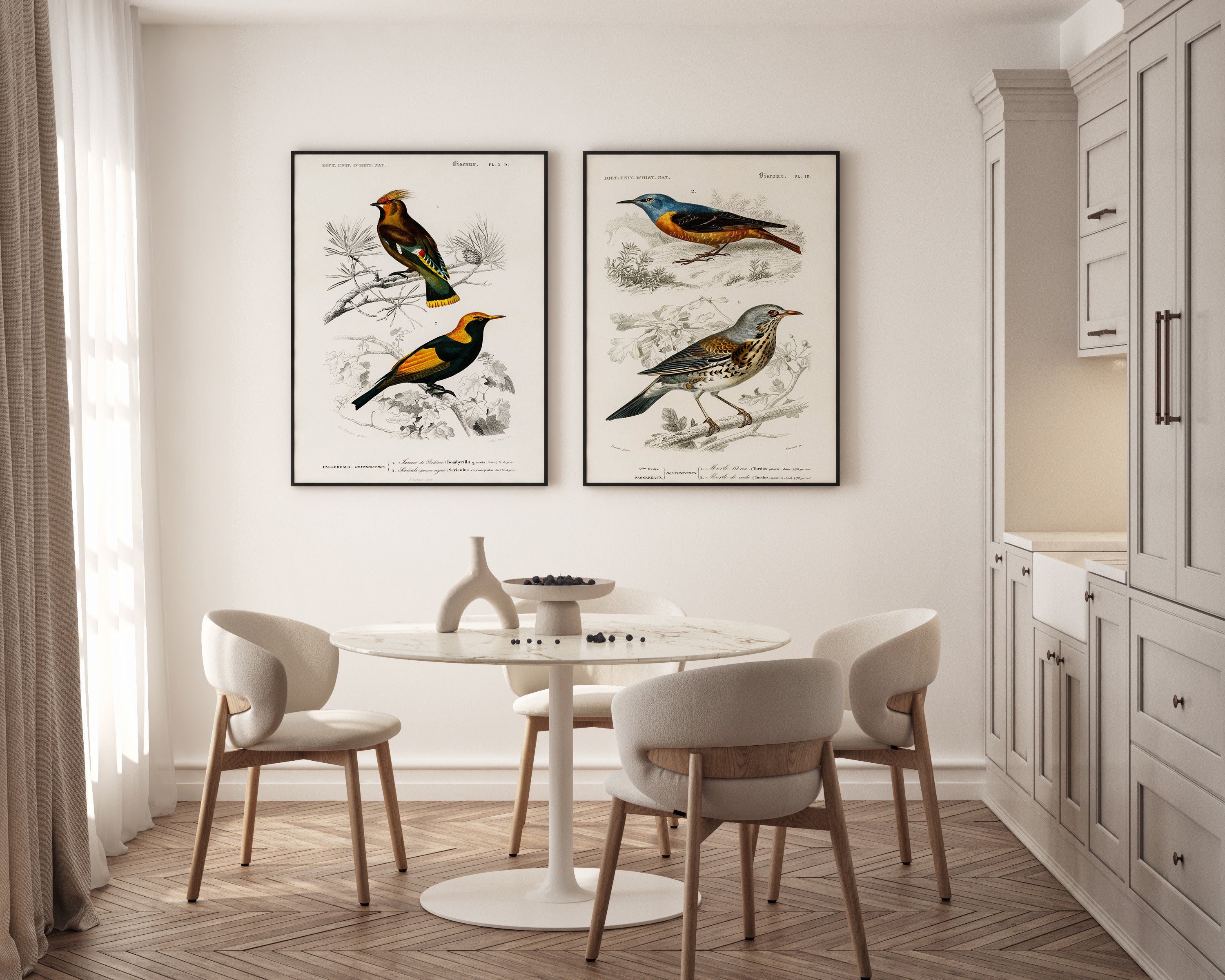 Zestaw plakatów Drozd skalny i Kwiczoł