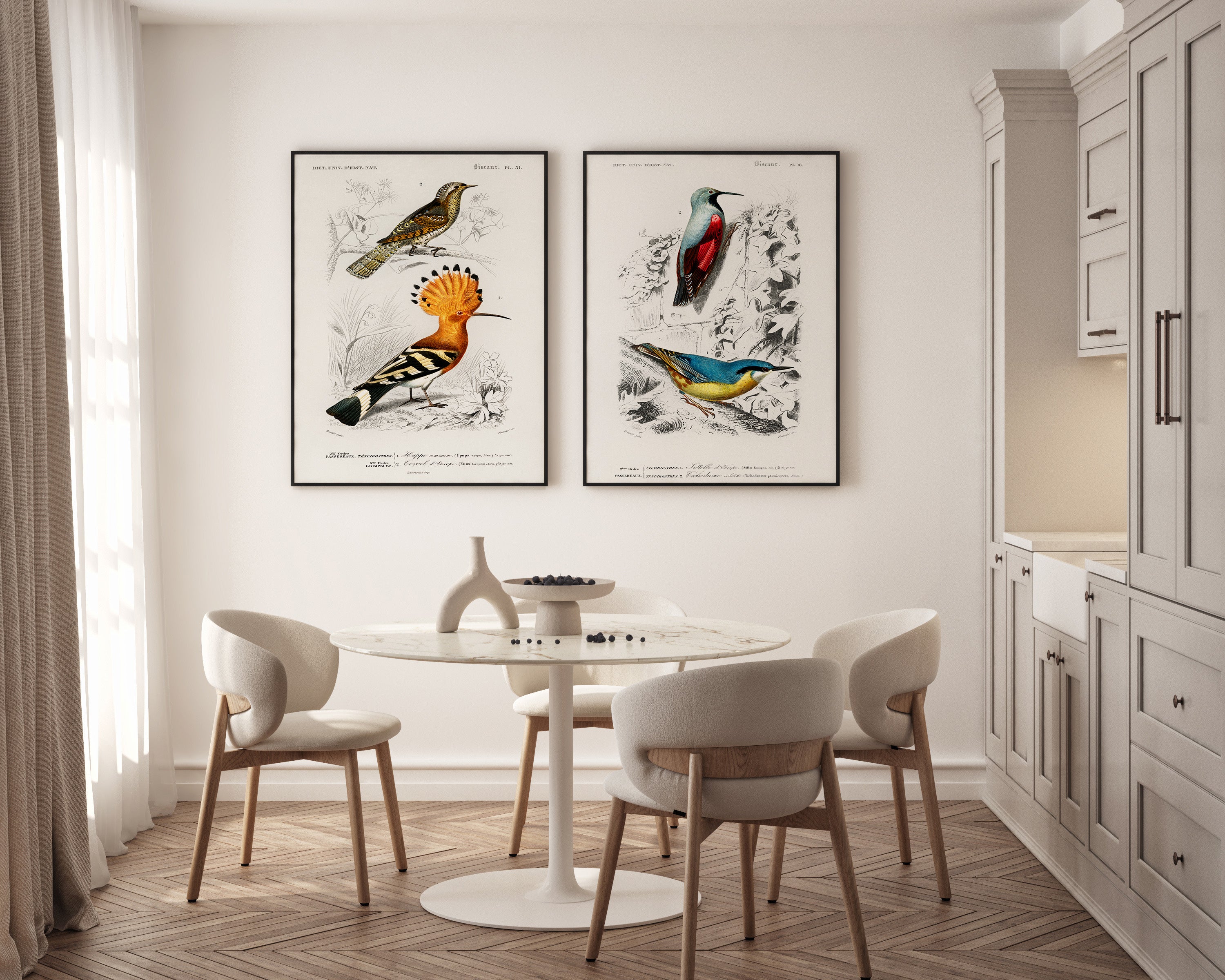 Zestaw plakatów Krętogłów zwyczajny i Dudek