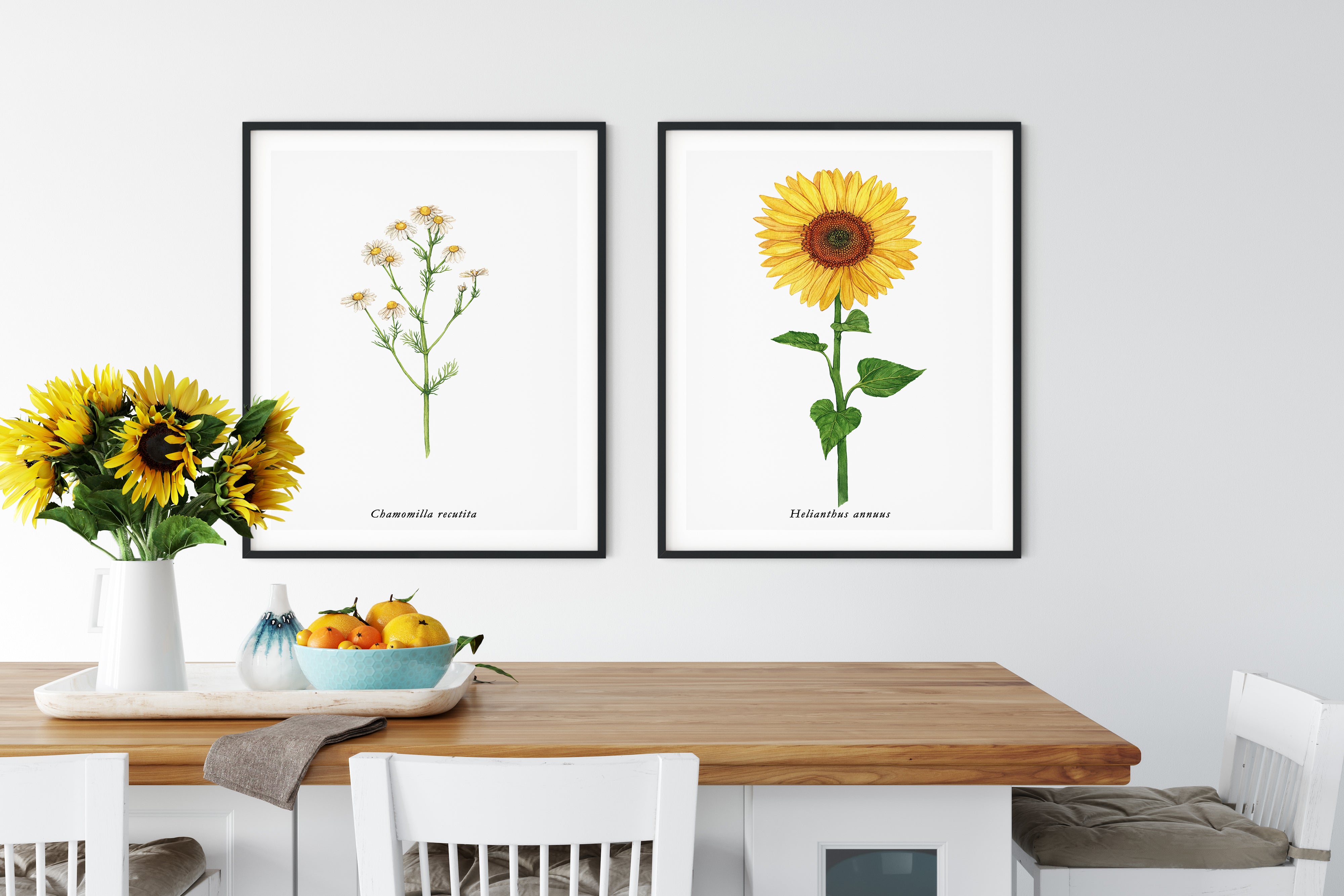 Zestaw plakatów Słonecznik i rumianek