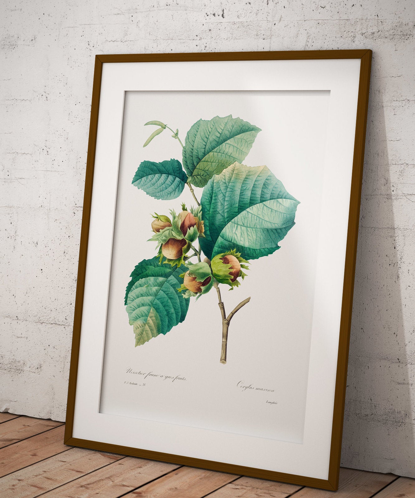 Qizning mushukining yaqindan olingan surati Bir shisha bilan porno shou