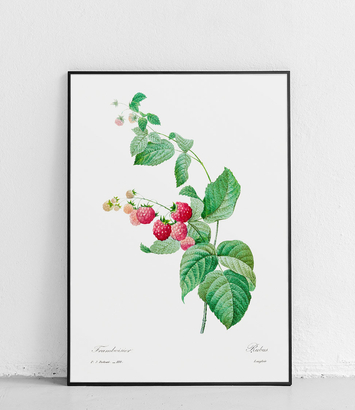Raspberry - poster 