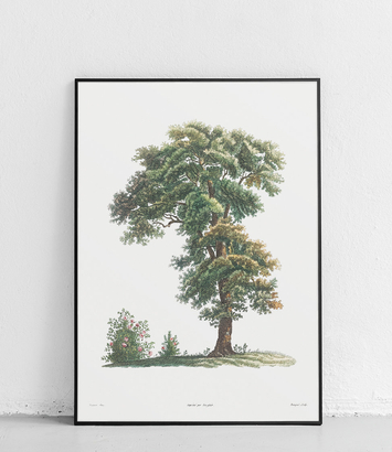 Tree - poster 