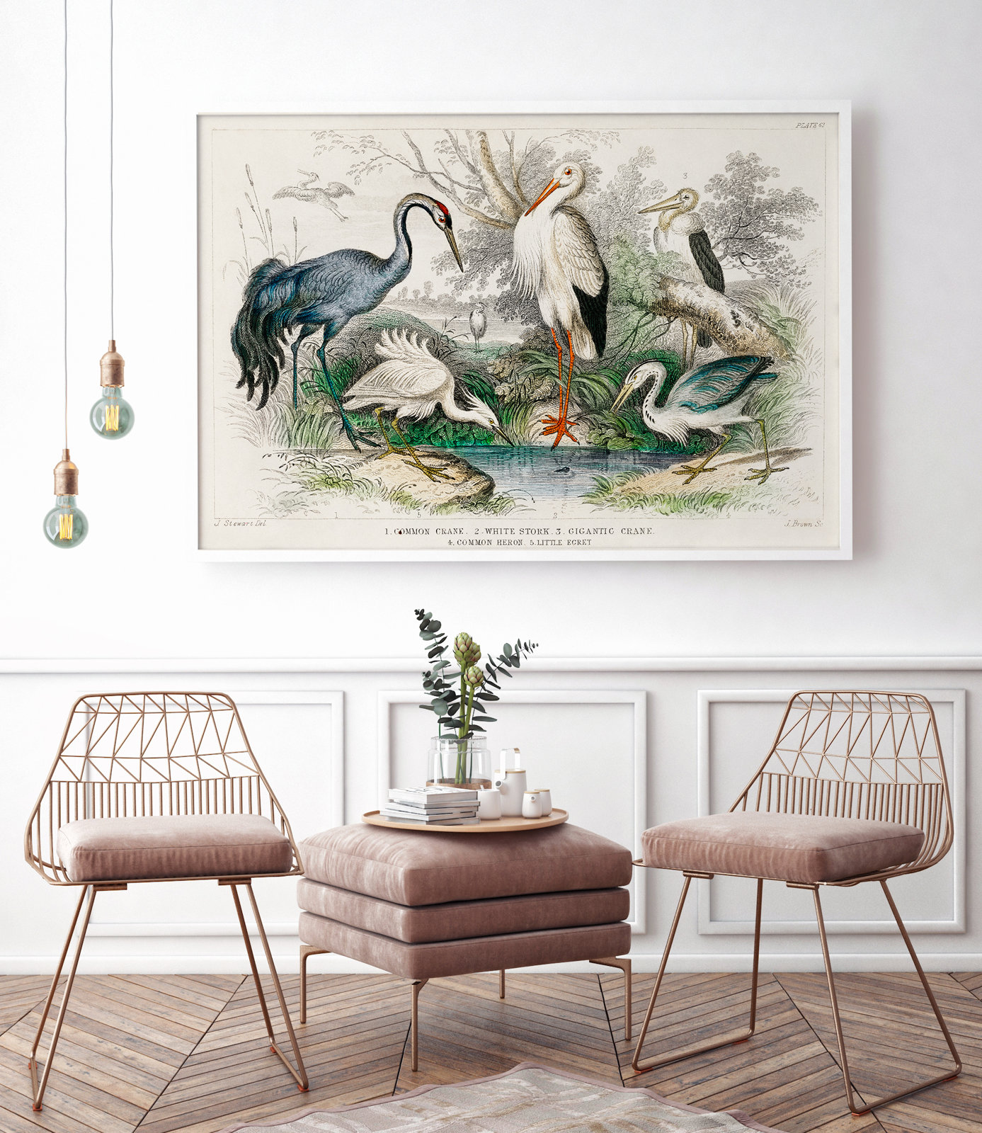 Crane Stork and Herons - poster 50 x 70 cm \ Fine Art | Biology ...