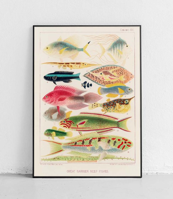 Fish 2 - poster 