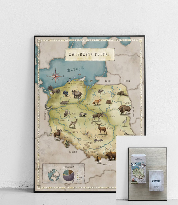 Plakat Mapa Zwierząt Polski  50cm x70cm dla starszaków z kartami - zestaw promocyjny