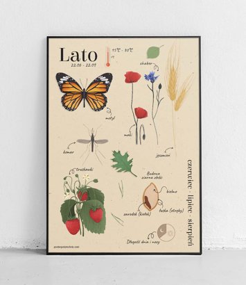 Lato - plakat