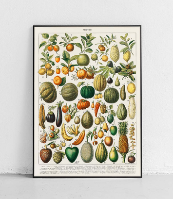 Owoce i warzywa - plakat