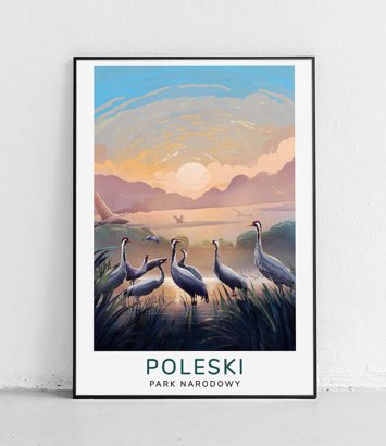 Poleski Park Narodowy - plakat - modern