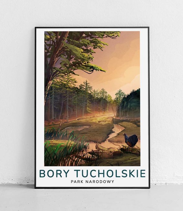 Bory Tucholskie Park Narodowy - plakat - modern