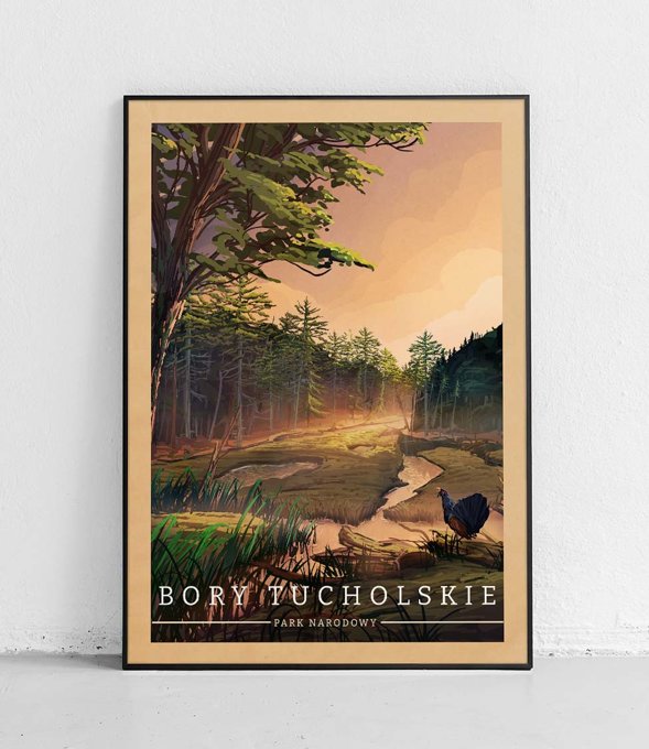 Bory Tucholskie Park Narodowy - plakat - vintage