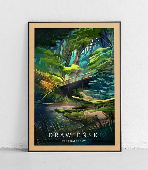 Drawieński Park Narodowy - plakat - vintage