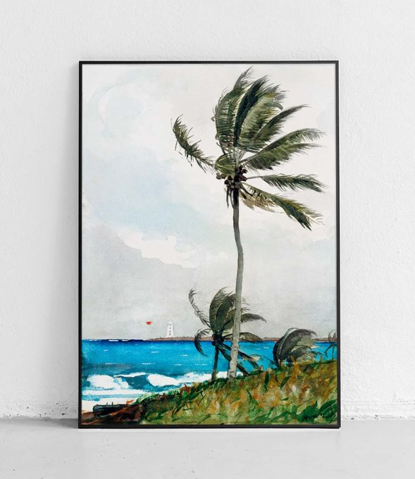 Drzewo palmowe, Nassau - plakat 