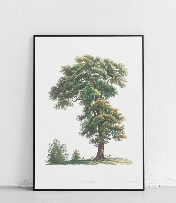 Drzewo - plakat 