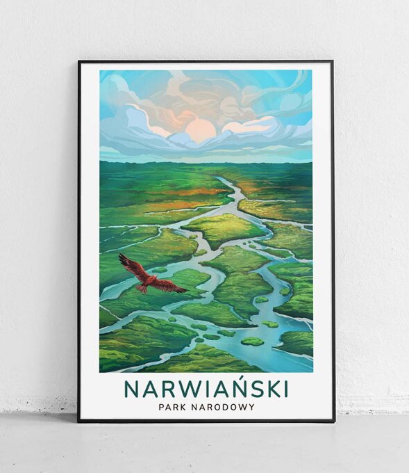 Narwiański Park Narodowy - plakat - modern