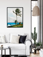 Drzewo palmowe, Nassau - plakat 