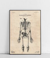 Szkielet ludzki - plakat